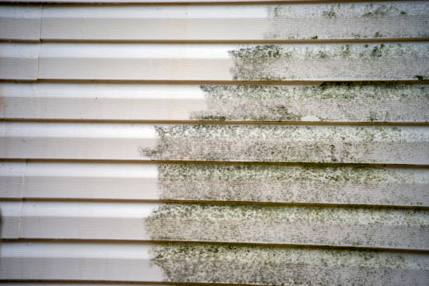 Affordable siding repair and maintenance services in Tooele, UT
