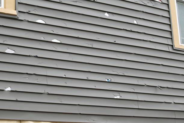 Best Siding Replacement  in Tooele, UT